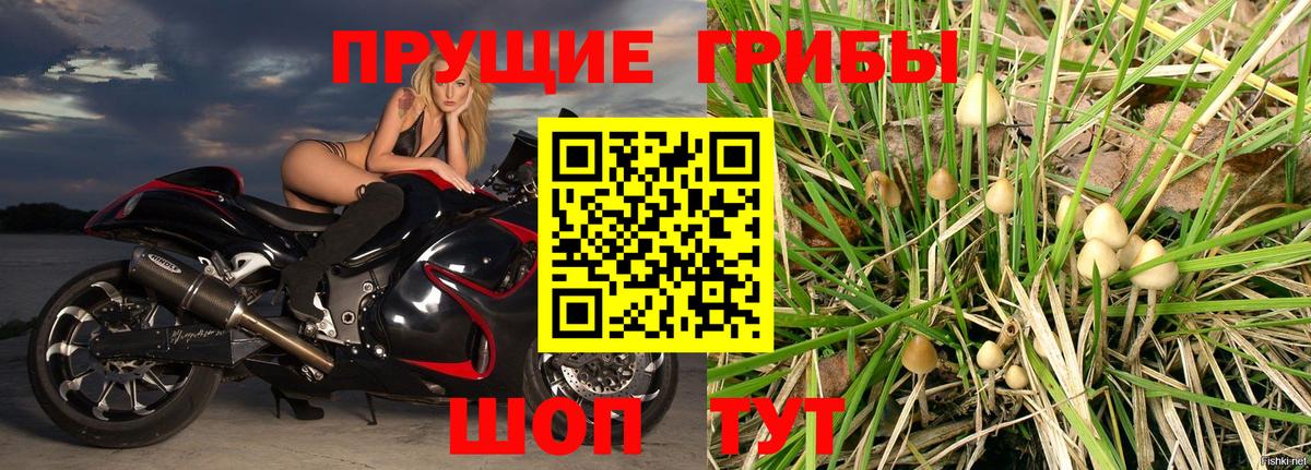 ЭКСТАЗИ  Вход с VPN  Меф кристаллы  КОКАИН  Алексеевка  Марихуана  Гашиш 