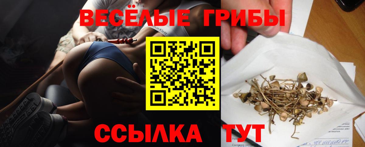 Галлюциногенные грибы Psilocybine cubensis Алексеевка